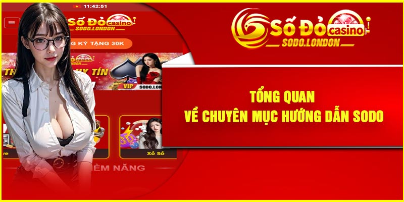 Tổng quan về chuyên mục hướng dẫn Sodo